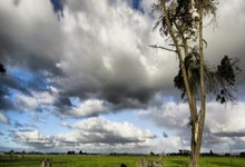 问鼎娱乐官网:139球,巴萨是赛季各项赛事前45场进球最多的西甲球队.