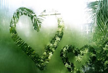 问鼎娱乐官网：[德甲]第2轮：弗赖堡1-0不来梅 集锦.