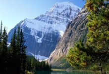 问鼎娱乐官网:辽鲁对决杨鸣怒怼技术台,邱彪与陶汉林争吵,指出球员缺乏自信心.