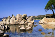 问鼎娱乐官网:勒沃库森官方:沈梦露十字韧带撕裂 赛季报销.